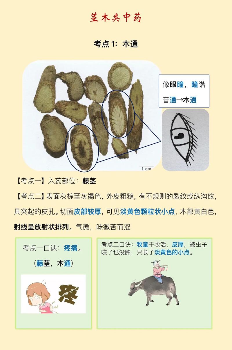 药品鉴别操作示意图